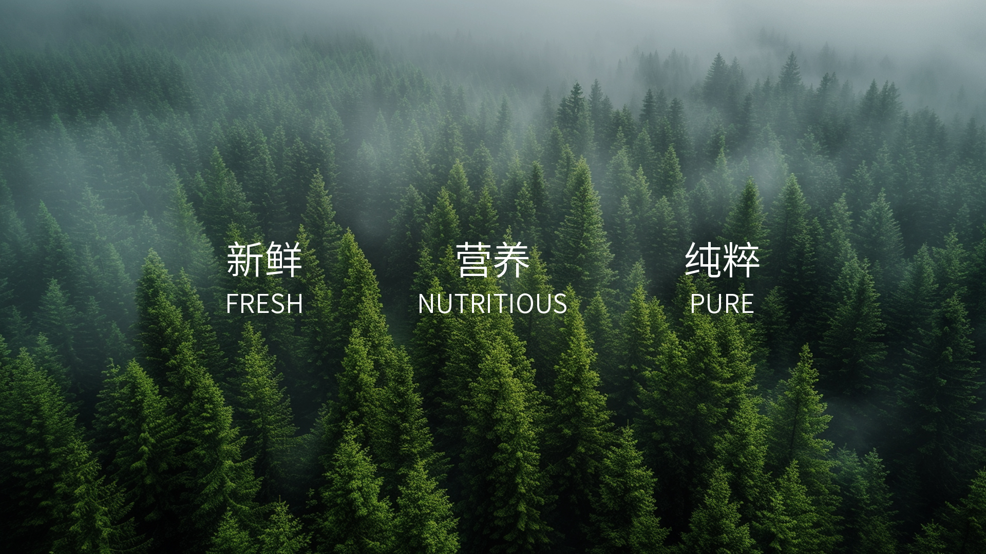 通栏图片